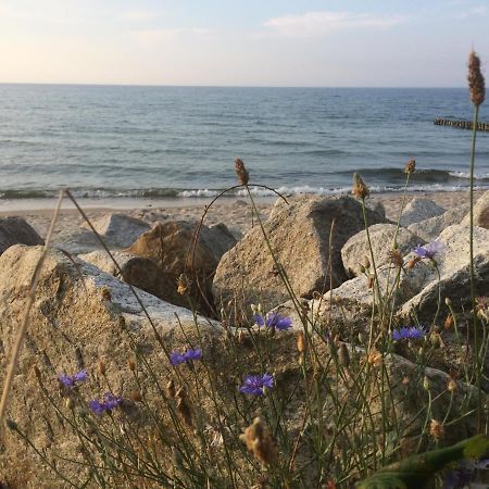 Seaside Park Private Aurora 502 Leilighet Kołobrzeg Eksteriør bilde